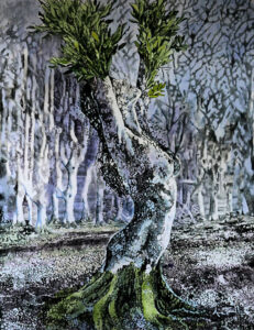 Donna Albero olio su tela 120x150- 2018