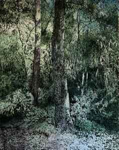 Bosco di Valcanneto (Cerveteri) olio su tele 150x1.20 - 2020