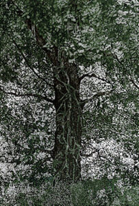 Abbraccio olio su tela 2.00x1.40 - 2022