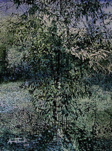 Bosco di Valcanneto olio su tela 1.50x1.20 - 2020