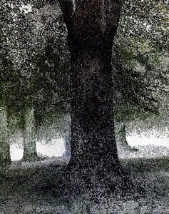 Anima antica olio su tela 1.50x1.30 - 2022