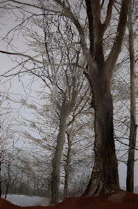 Faggeta-olio su tela 150x100-1993