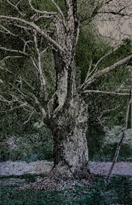 Urlo del Castagno olio su tela 1.50x1.30 2022