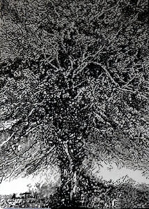 Ho un albero nel cuore olio su tela 2022