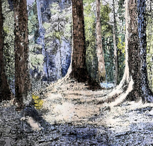 Squarcio di sole olio su tela 1.60x1.50 - 2020