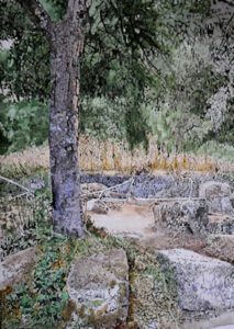 Necropoli - Cerveteri